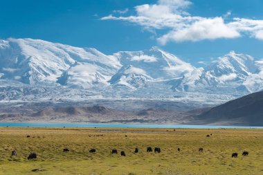Doğu Türkistan, Çin - 21 Mayıs 2015: Karakul Gölü. Pamir Dağları, Doğu Türkistan, Çin Akto İlçesi, Kızılsu Kırgız Özerk İli içinde Karakurum karayolu üzerinde ünlü bir manzara.