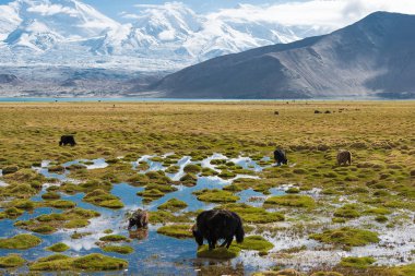 Doğu Türkistan, Çin - 21 Mayıs 2015: Karakul Gölü. Pamir Dağları, Doğu Türkistan, Çin Akto İlçesi, Kızılsu Kırgız Özerk İli içinde Karakurum karayolu üzerinde ünlü bir manzara.