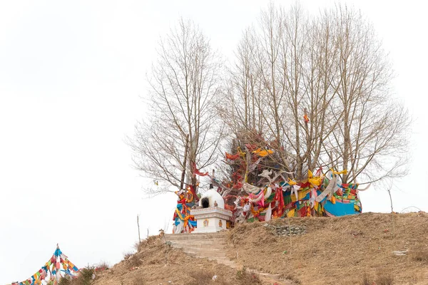 Qinghai, Čína - duben 03 2015: Tagccher vesnice. Vesnici Tagccher v roce 1935 v Haidong, Qinghai, Čína se proslavil jako rodiště 14th Dalai Lama. — Stock fotografie