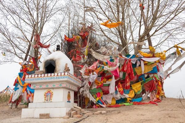 QINGHAI, CHINA - April 03 2015: Taktser village. The village of Taktser gained fame as the birthplace of the 14th Dalai Lama in 1935 in Haidong, Qinghai, China. — Stock Photo, Image