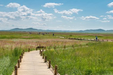 İç Moğolistan, Çin - 10 Ağustos 2015: Site, Xanadu (dünya mirası sit alanı). ünlü tarihi bir site Zhenglan afiş, Xilin Gol, Inner Mongolia, China.