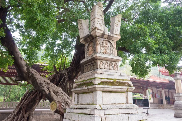 Fujian, Çin - 27 Aralık 2015: Pagoda Kaiyuan Tapınağı'nda. ünlü tarihi bir site Quanzhou, Fujian, Çin.