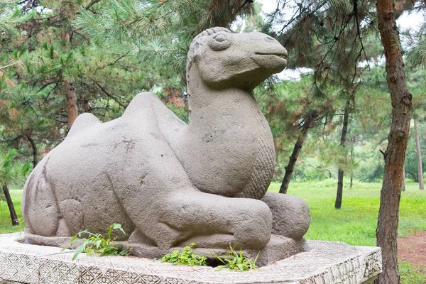 LIAONING, CHINA - 31 jul 2015: Estatua en Fuling Tomb (Patrimonio de la Humanidad por la UNESCO). un sitio histórico famoso en Shenyang, Liaoning, China . — Foto de Stock