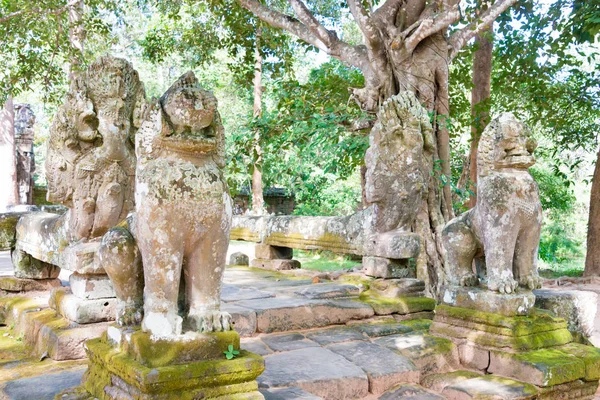 Siem Reap, Kambodzsa - Nov 30 2016: Banteay Kdei Angkor titkát. a híres történelmi helyszínen (Unesco Világörökség) az Angkor, Siem Reap, Kambodzsa. — Stock Fotó