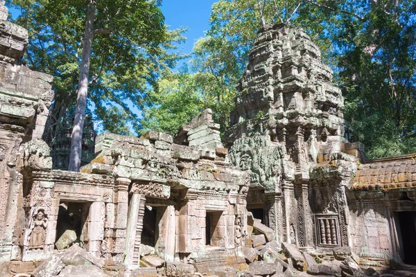 Фам Рип, Камбодиа - Нов 30 2016: Ta Prohm Felle в Ангкоре. известный исторический объект (Всемирное наследие UNESCO) в Ангкоре, Фам Рип, Камбодия . — стоковое фото