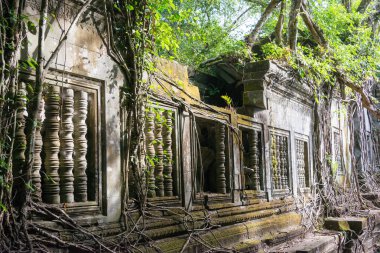 Siem Reap, Kamboçya - 03 Aralık 2016: Beng Mealea. ünlü tarihi sitesi (Unesco Dünya Mirası) Siem Reap, Kamboçya.