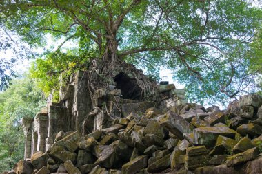 Siem Reap, Kamboçya - 03 Aralık 2016: Beng Mealea. ünlü tarihi sitesi (Unesco Dünya Mirası) Siem Reap, Kamboçya.