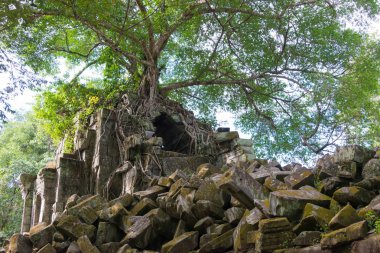 Siem Reap, Kamboçya - 03 Aralık 2016: Beng Mealea. ünlü tarihi sitesi (Unesco Dünya Mirası) Siem Reap, Kamboçya.