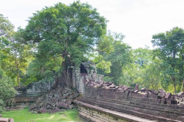 Siem Reap, Kamboçya - 03 Aralık 2016: Beng Mealea. ünlü tarihi sitesi (Unesco Dünya Mirası) Siem Reap, Kamboçya.