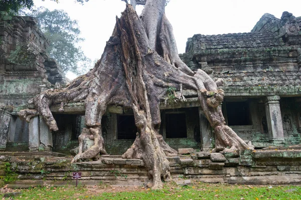 Siem Reap, Kambodża - PAŹ 2016 13: Ulgi w Preah Khan w Angkor. słynne miejsce historyczne (wpisanego na listę światowego dziedzictwa UNESCO) w Angkor, Siem Reap, Kambodża. — Zdjęcie stockowe