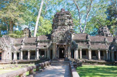 Siem Reap, Kamboçya - 30 Kasım 2016: Ta Prohm Tapınağı Angkor ziyaretçi. bir ünlü Ören (Unesco Dünya Mirası) Angkor, Siem Reap, Kamboçya.