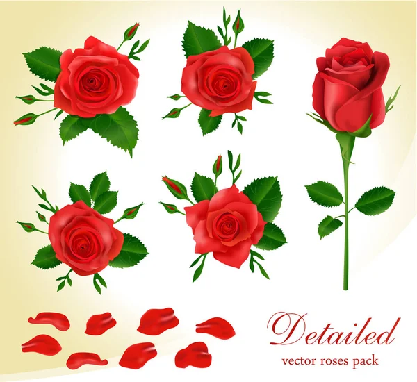 Vector rosas rojas — Vector de stock