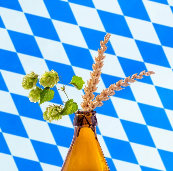 Bierfles met hop tarwe tak — Stockfoto