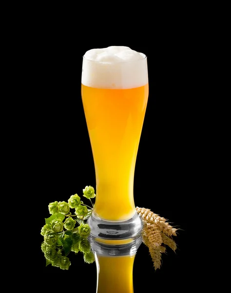Wheat beer in glass, hop and wheat spike