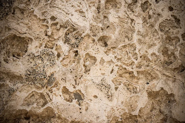 Špinavý a poškrábaný stará zeď coquina — Stock fotografie