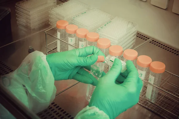 Labortechniker entnimmt Probe aus Röhrchen für Test, Nahaufnahme lizenzfreie Stockbilder