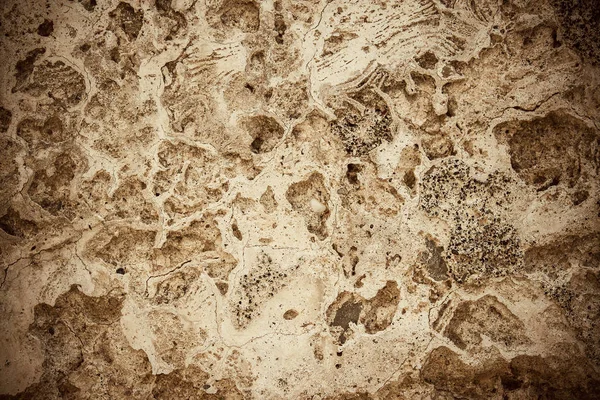 Brudna, porysowany stary mur coquina — Zdjęcie stockowe
