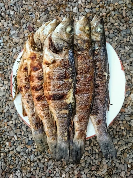 Six crisp grilled European bass — Stock Photo, Image