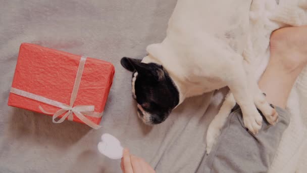 Männerhände hautnah mit Weihnachtsgeschenk — Stockvideo