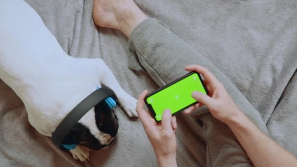 Man with french bulldog have fun at home — Stock Video
