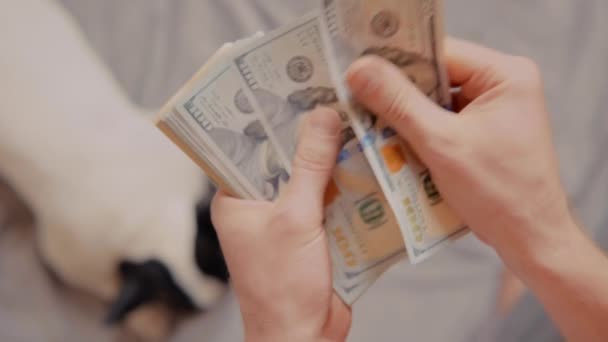 Top view man telt geld — Stockvideo