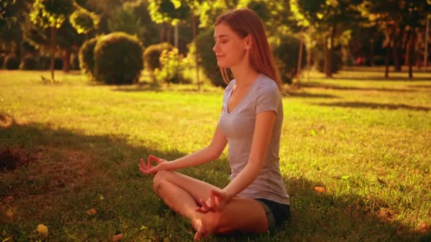 Meditation in sunny garden — Stock Video