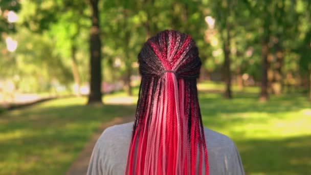 Back view caminhadas femininas na cidade — Vídeo de Stock