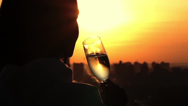 Vista trasera mujer bebiendo vino al aire libre — Vídeo de stock