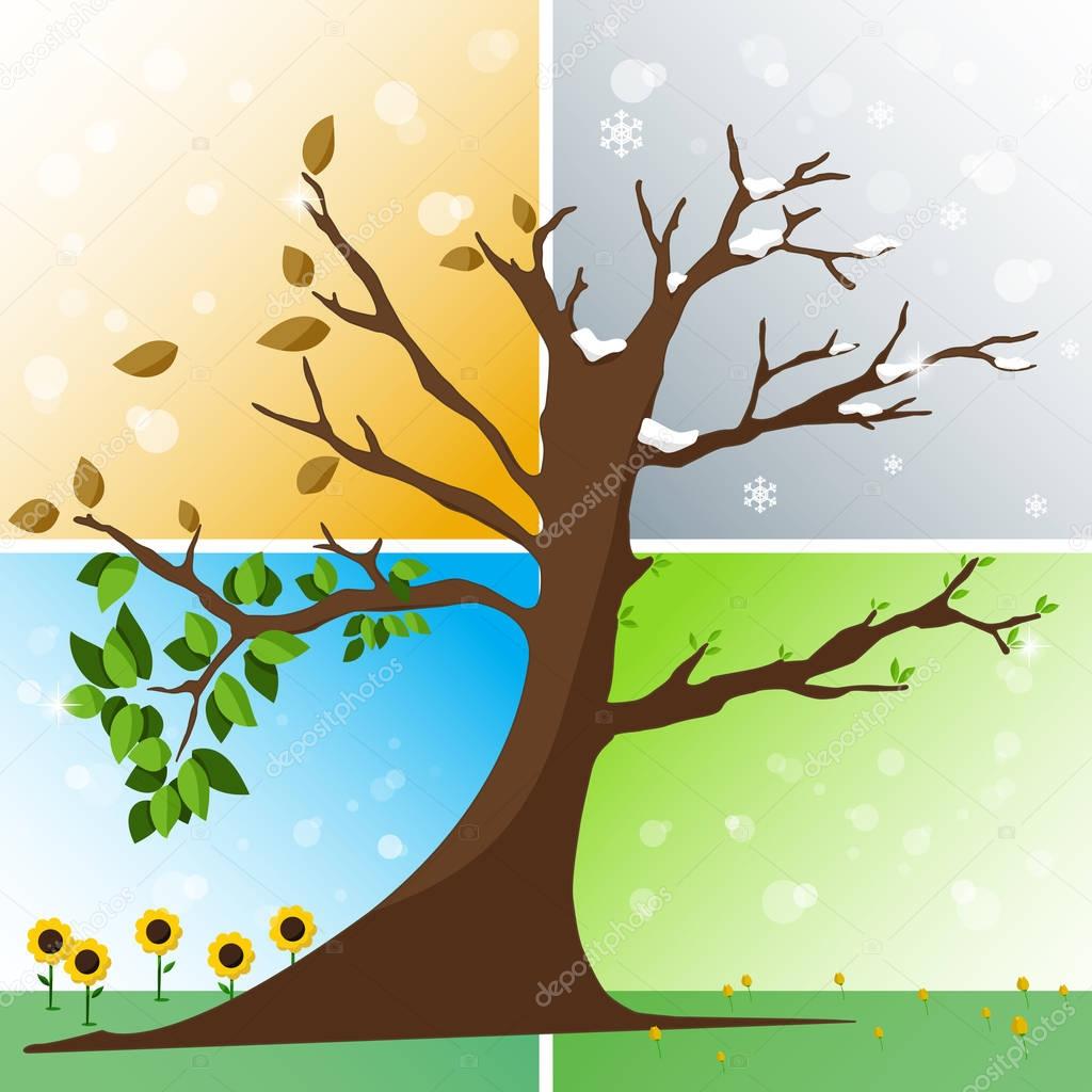 Four seasons in one tree