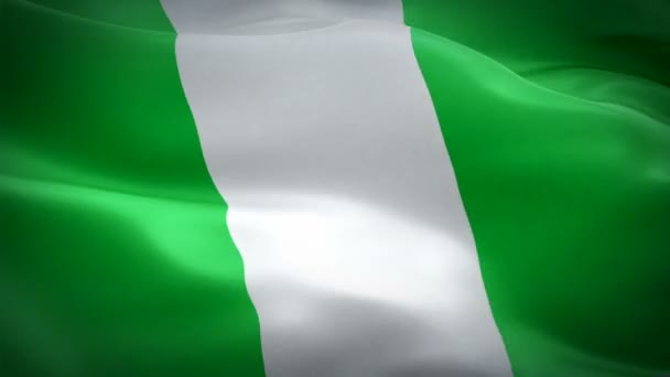 Nigerian Flag Closeup 1080P Full 1920X1080 Footage Video Waving Wind — Stock Video