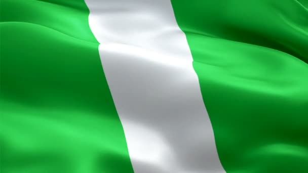 Nigeria Viftar Med Flaggan Nationell Nigeriansk Flagga Vinkar Tecken Nigeria — Stockvideo