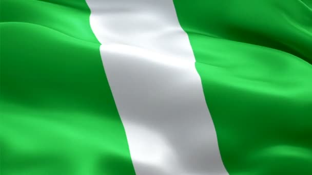 Nigeria Ondeando Bandera Bandera Nacional Nigeriana Ondeando Signo Animación Bucle — Vídeo de stock