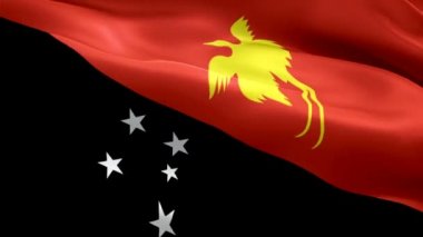 Papua Yeni Gine bayrağı sallıyor. Ulusal 3d Papua bayrağı dalgalanması. Papua Yeni Gine adasının kusursuz döngü animasyonunun işareti. Papua bayrağı yüksek çözünürlüklü arka plan. Yeni Gine bayrağı 1080p Tam HD 