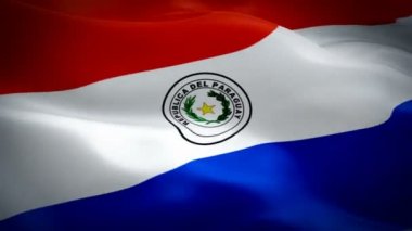 Paraguay bayrağı 1080p Full HD 1920X1080 video kaydı rüzgarda dalgalanıyor. Ulusal Asuncion 3d Paragu bayrağı dalgalanıyor. Paraguay 'ın kusursuz döngü animasyonunun işareti. Paraguay bayrağı HD çözünürlüğü Arkaplan 1080p