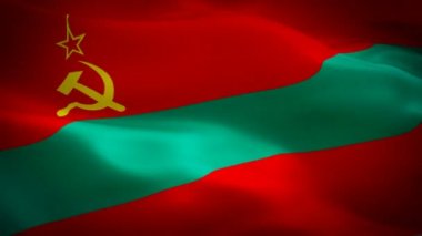 Pridnestrovie Adası bayrağı rüzgarda sallanan hareket döngüsü videosu. Gerçekçi Transnistria Bayrağı geçmişi. Pridnestrovie Bayrak Döngüsü Kapanışı 1080p Tam HD 1920X1080 görüntü. Pridnestrovie Avrupa ülkesi film ve haber videolarını bayraklandırdı