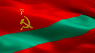 Transnistria bayrağı 1080p Full HD 1920X1080 video kaydı rüzgarda dalgalanıyor. Ulusal Tiraspol 3d Transnistria bayrağı dalgalanıyor. Pridnestrovie kusursuz döngü animasyonunun işareti. Transnistria bayrağı HD çözünürlüğü Arkaplan 1080p