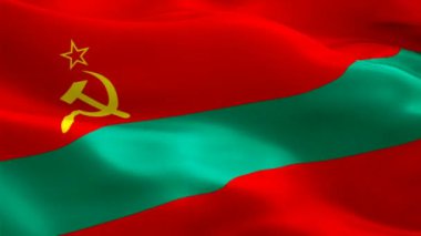 Pridnestrovie dalgalanan bayrak. Ulusal 3d Transnistria bayrağı dalgalanıyor. Pridnestrovie Adası 'nın kusursuz döngü animasyonunun işareti. Transnistria bayrağı yüksek çözünürlüklü arka plan. Pridnestrovie bayrağı sunum için 1080p Tam HD video