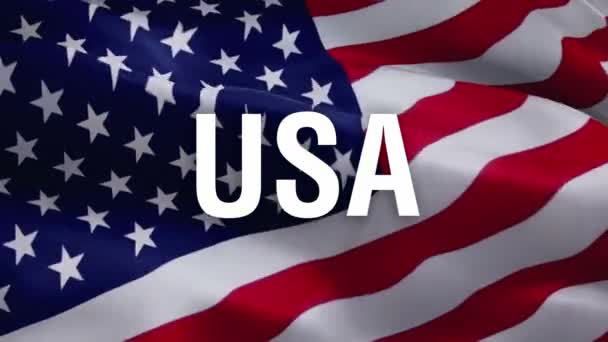 アメリカ合衆国の国旗のビデオ風の中で手を振る 独立記念日のための米国の旗連合 7月4日アメリカの国旗波1080PフルHd映像 アメリカ国旗 — ストック動画