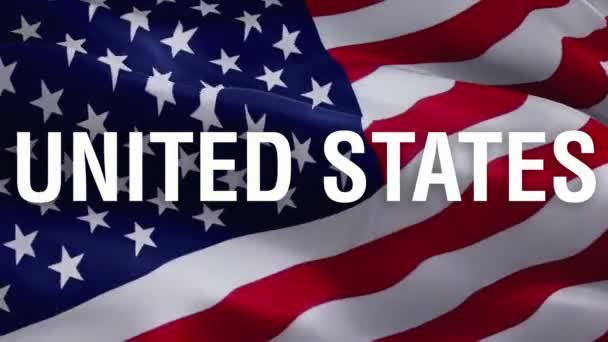 アメリカ合衆国の国旗のビデオ風の中で手を振る アメリカの国旗を振る 独立記念日のための米国の旗連合 7月4日アメリカの国旗波1080PフルHd映像 アメリカ国旗 — ストック動画