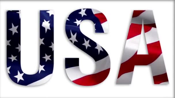 Amerikansk Flagga Video Vinkar Vinden Viftar Med Flaggan Usa Usa — Stockvideo