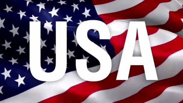 United States Flag Video Waving Wind Flag Union Independence Day — Stock Video