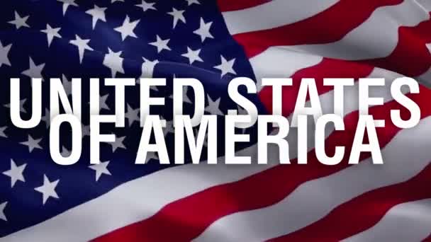 Amerykańska Flaga Wideo Stany Zjednoczone Amerykańska Flaga Slow Motion Wideo — Wideo stockowe