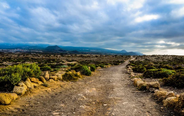 Camino en el desierto volcánico —  Fotos de Stock