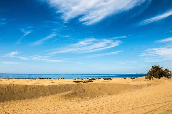 Sanddünenwüste — Stockfoto