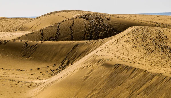 Desierto de dunas de arena —  Fotos de Stock