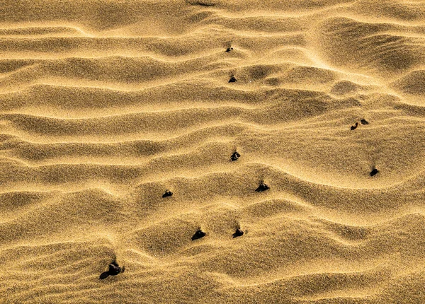 Areia duna deserto textura — Fotografia de Stock