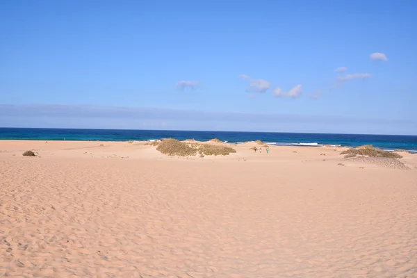 Sand Ocean Beach — Stock Photo, Image