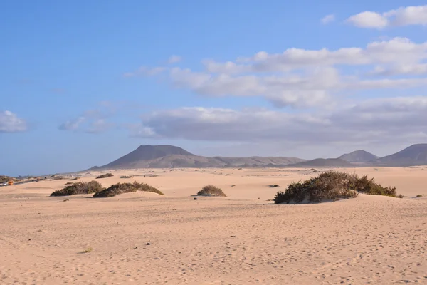 Droog woestijnlandschap — Stockfoto