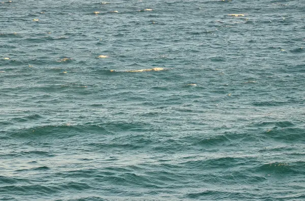 Dalgalı Mavi Durgun Deniz Suyu Doğal Arkaplan Fotoğrafı Dokusu — Stok fotoğraf