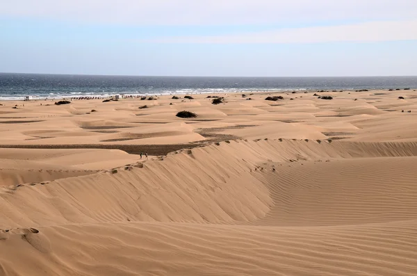 Dune Sabbia Nel Deserto Maspalomas Isola Gran Canaria Spagna — Foto Stock